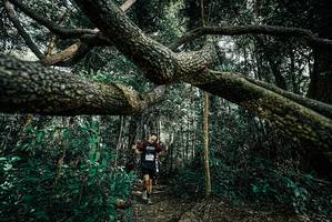 BIB: 
                            <button type="button" onclick="openModal(25705947)" class="btn btn-primary btn-sm float-right btn-popup" data-toggle="modal" data-target=".modal-high-quality">
                        <i class="fas fa-shopping-cart"></i> Add to Cart
                    </button>
                                            <button type="button" onclick="isThisMe(25705947, true)" class="btn btn-success btn-sm float-right btn-popup btn-isme hidden" data-toggle="tooltip" data-placement="bottom" title="นี่คือรูปของคุณใช่ไหม คลิกที่นี่เพื่อเอาเข้าอัลบั้ม">
                        <i class="fas fa-plus"></i> Add to album
                    </button>
                    <button type="button" onclick="isThisMe(25705947, false)" class="btn btn-warning btn-sm float-right btn-popup btn-isnotme hidden">
                        <i class="fas fa-ban"></i> Remove from album
                    </button>